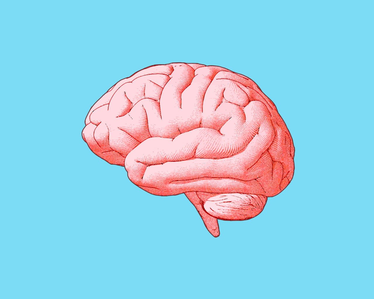 brain graphic