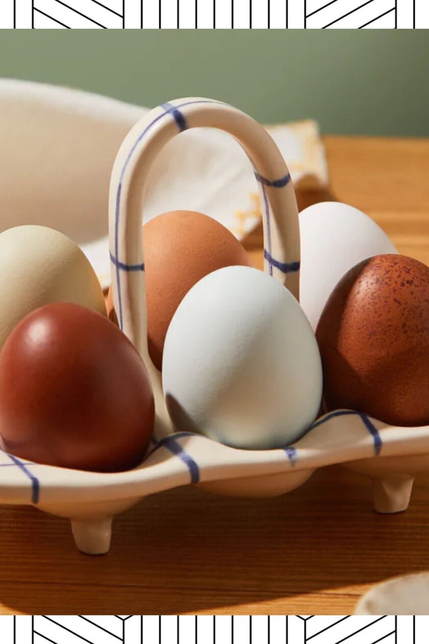 egg holder abask
