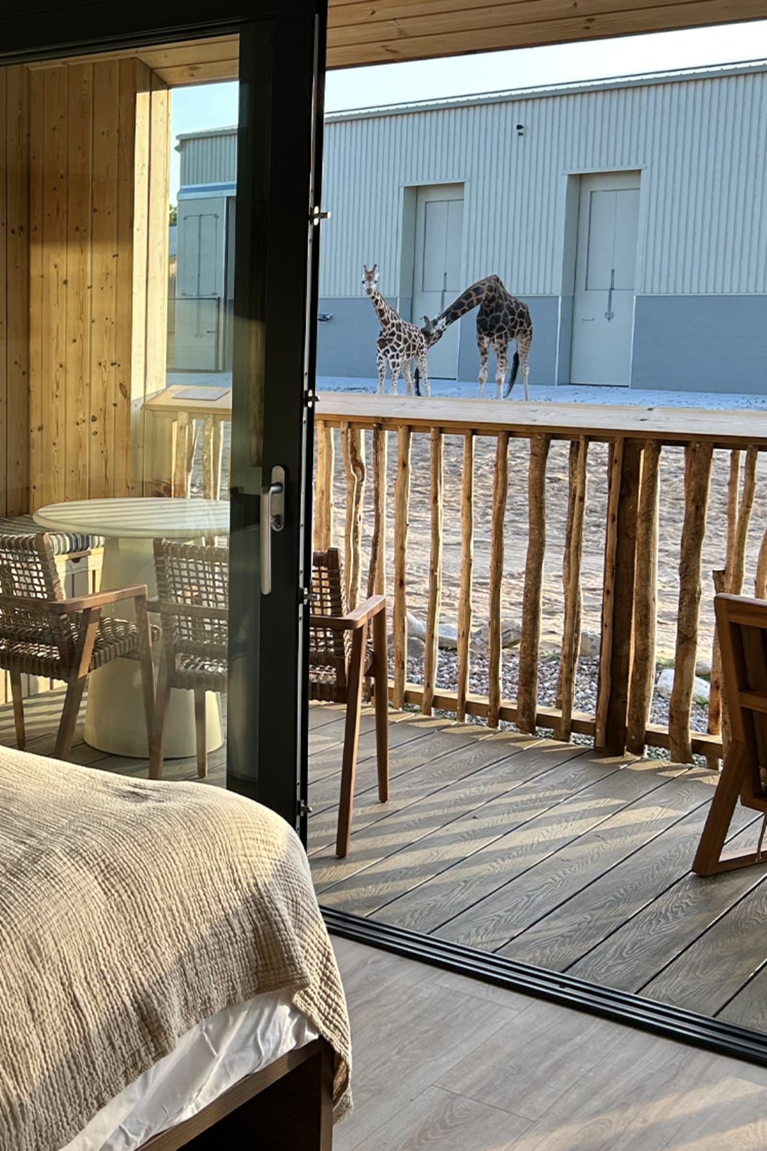 Chester Zoo review