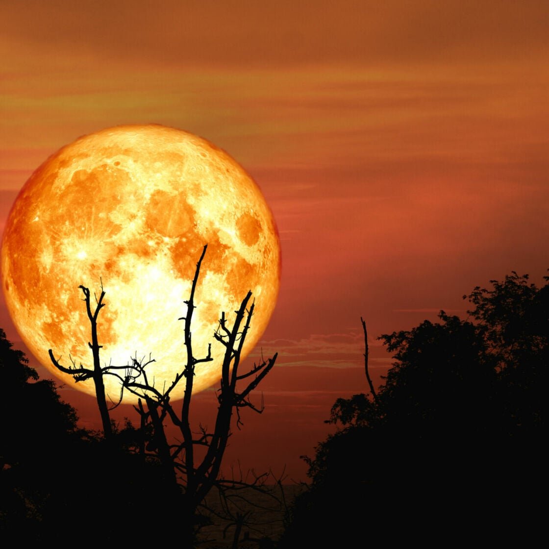 The autumn equinox happens tonight – this is what it means for your star sign