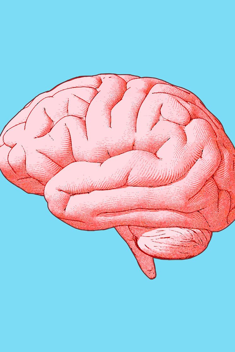 brain graphic