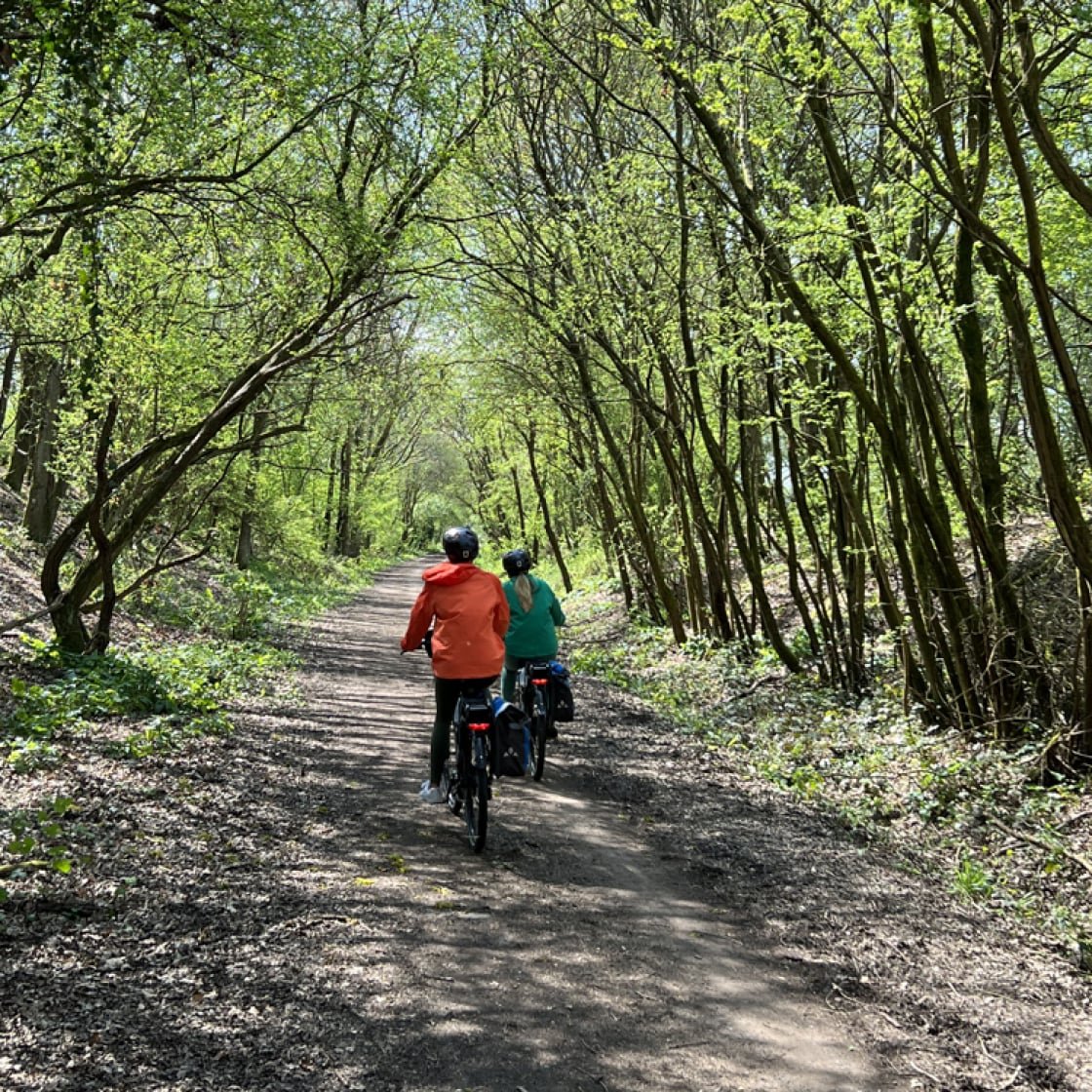 shade cycling
