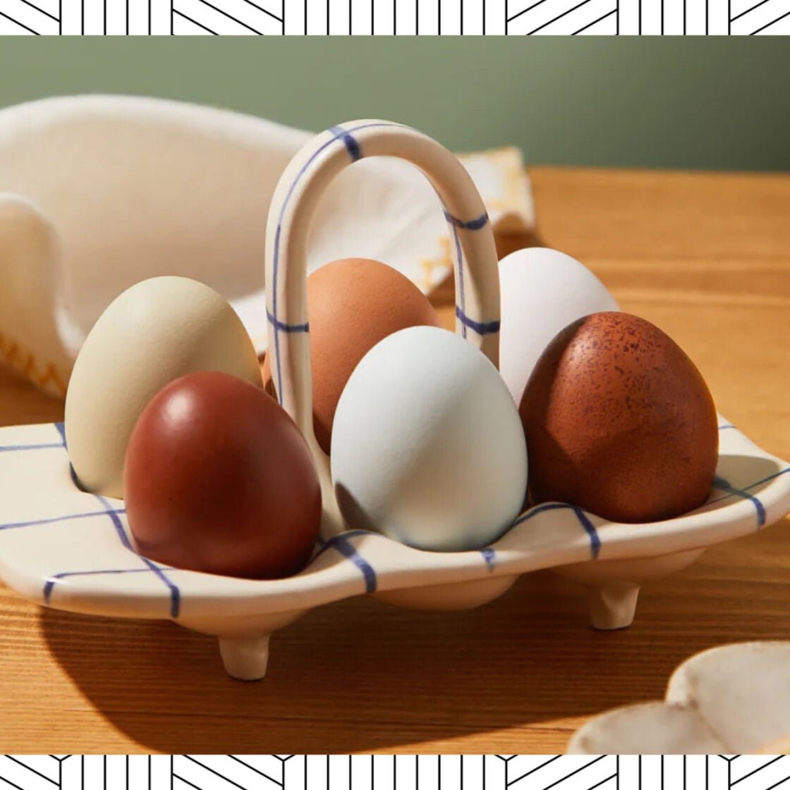 egg holder abask