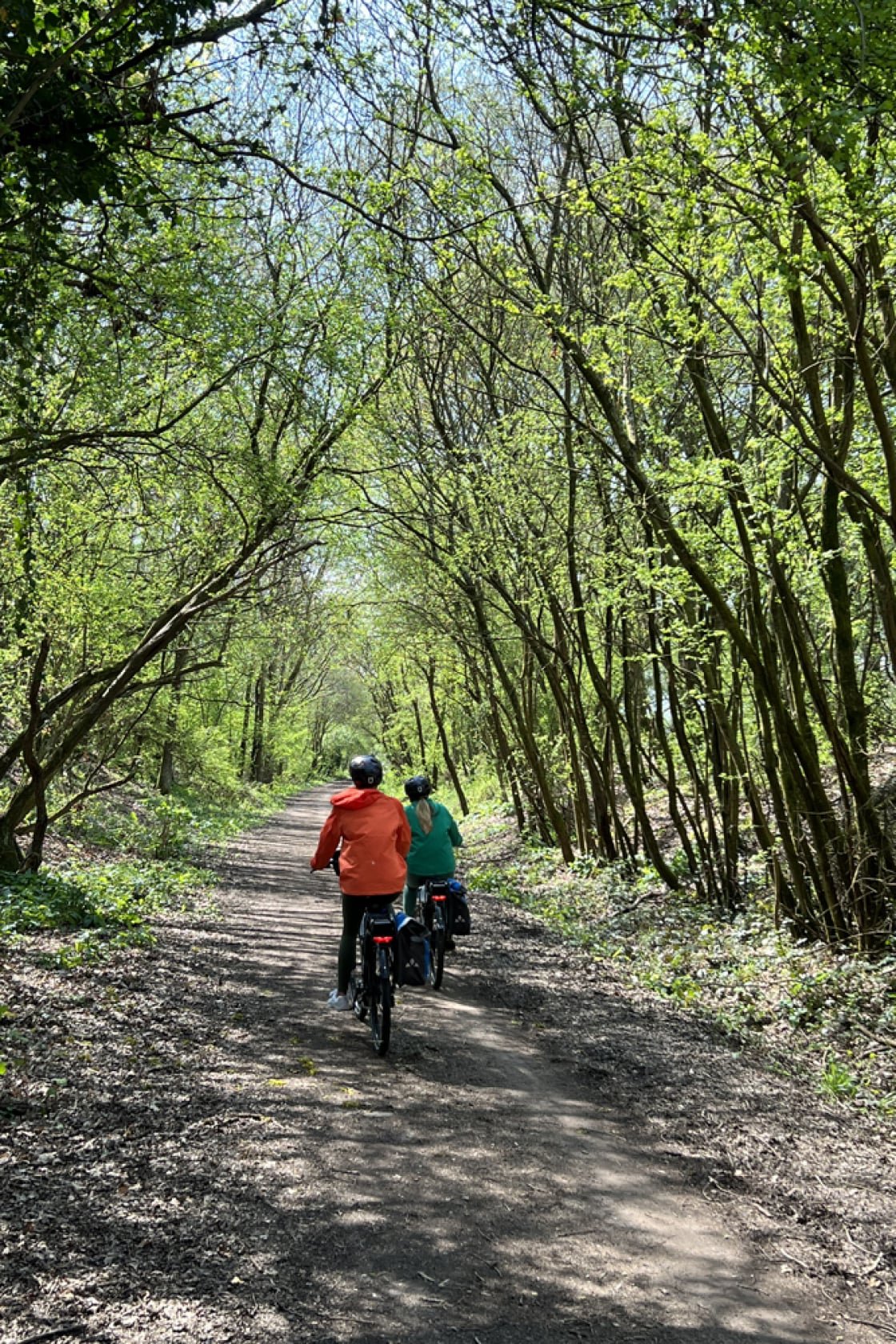 shade cycling