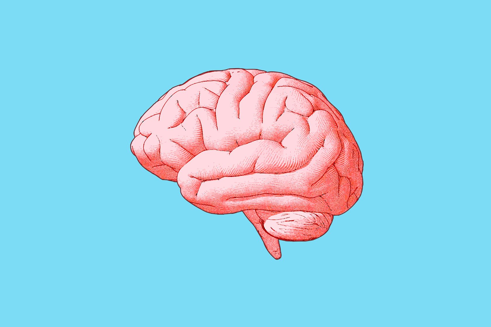 brain graphic