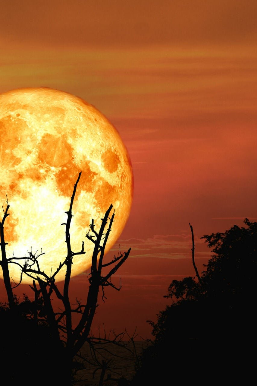 The autumn equinox happens tonight – this is what it means for your star sign