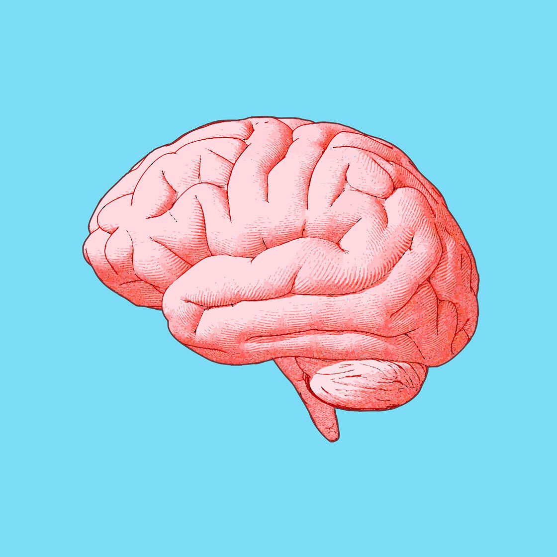 brain graphic